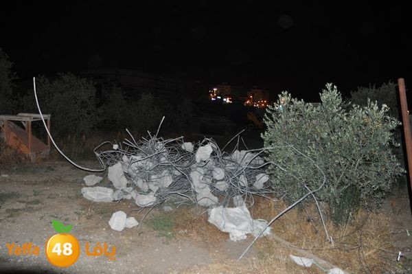 7aimashamaly522 (20).JPG